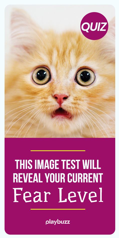 This Image Test Will Reveal Your Current Fear Level - Fear is one of the most prevalent human emotions. But what level are you experiencing at this very moment?  ******** Playbuzz Quiz Quizzes Buzzfeed Quiz Halloween Scary Horror Movie Us Get Out Run Away Zombie Survival Post Apocalypse List Of Biggest Fears, Horror Quiz, Horror Movie Trivia, Horror Movie Whisper, Horror Movies Whisper, Quizzes Buzzfeed, Horror Movies Scariest, Playbuzz Quiz, Best Horror Movies