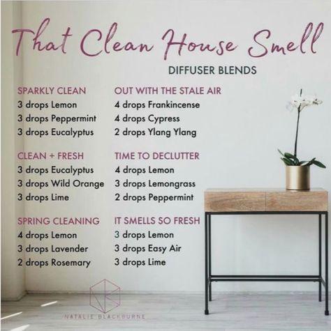 That Clean House Smell Clean House Smell, Essential Oil Diffuser Blends Recipes, Essential Oil Diffuser Recipes, Oil Diffuser Recipes, Essential Oil Blends Recipes, Essential Oil Mixes, Living Essentials Oils, Diffuser Recipes, Essential Oil Diffuser Blends