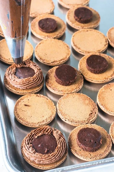 Brownie Macarons, Glutenfree Cookies, Macarons Chocolate, Brownie Vegan, Truffles Chocolate, Food Korean, Fudgy Brownie Recipe, Popular Cookies, Chocolate Macaron