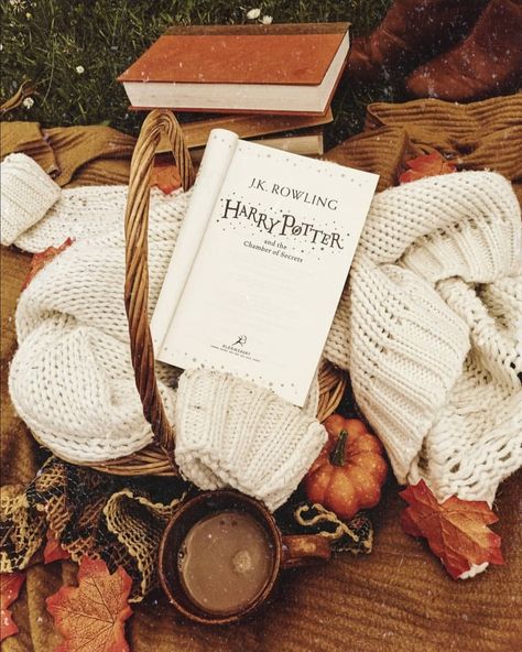 Harry Potter Autumn Aesthetic, Fall Harry Potter Aesthetic, Fall Aesthetic Books, Fall Bookstagram, Harry Potter Fall Aesthetic, Fall Harry Potter, Downtown Autumn, Harry Potter Autumn, Harry Potter Fall