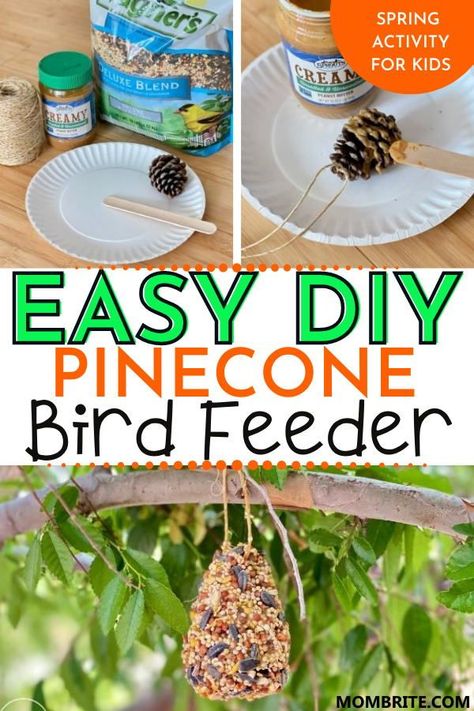 Pinecones Bird Feeder, Birdseed Crafts For Kids, Pinecone Activities Preschool, Bird Feeder Craft Preschool, Pinecone Activities For Toddlers, Birdfeeders Kids Can Make, Egg Carton Bird Feeder, Pine Cone Bird Feeders For Kids To Make, Pinecone Bird Feeder Kids