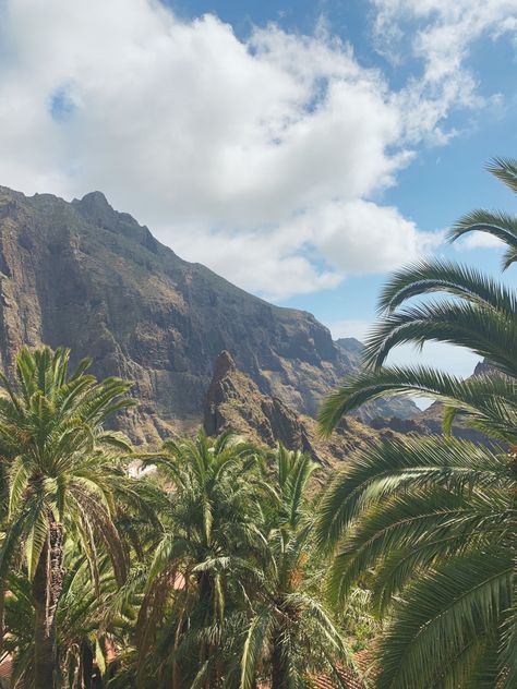 Tenerife Masca Mountains Island Volcano Aesthetic green Desert Spain BlackDiamond View flowers Stranded Island Aesthetic, Desert Island Aesthetic, Stranded Aesthetic, Stranded On An Island Aesthetic, Canary Islands Aesthetic, Azores Aesthetic, Daylight Aesthetic, Tenerife Aesthetic, Summer Court