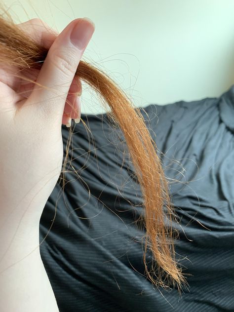 How do I help dry hair that looks like this?? This is what some pieces of my hair looks like after Ive washed it brushed it while wet and let it air dry. Theres little hairs going in every which way which causing it to feel super dry and look so unhealthy. Any advice would be super appreciated! Super Dry Hair, Keratin Logo, Dry Hair Ends, Hair Keratin Logo, Unhealthy Hair, Make Your Hair Grow Faster, Thicker Stronger Hair, Ugly Hair, Hair Salon Marketing