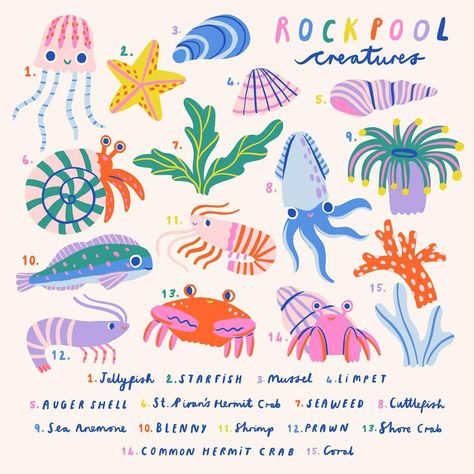 Rachel Carter | I thought it would be cute to turn my rockpool creatures into an identification chart style illustration! I think my fave is the little… | Instagram Underwater Animals Illustration, Cute Sea Creatures Illustration, Summer Animal Illustration, Different Illustration Styles, Rockpool Illustration, Rockpool Art, Cute Octopus Illustration, Marine Biology Poster, Sea Animal Paintings