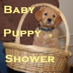 Puppy Shower Party Ideas, Puppy Shower Ideas Dog Parties, Puppy Shower Ideas, Puppy Shower Party, Puppy Baby Shower, Adoption Shower, Dog Themed Parties, Baby Puppy, Pet Ideas