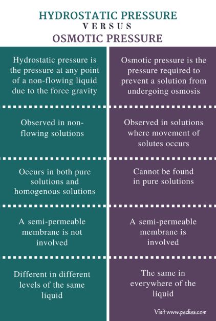 Osmotic Pressure, What Is The Difference Between, Water Flow, High Pressure, Chemistry, Physics, How To Apply, Google Search