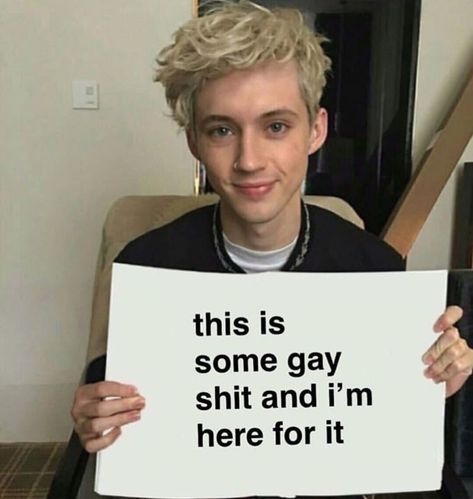 Something To Give Each Other Troye Sivan, Troye Sivan Funny, Marauders Instagram, Gay Sticker, Lgbt Memes, We Back, Gay Humor, Gay Memes, Troye Sivan