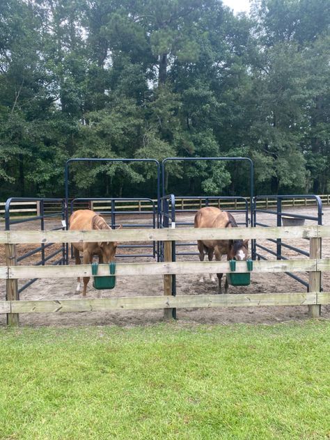 Hay Hut, Paddock Ideas, Pasture Shelter, Feeding Horses, Dream Barn Stables, Horse Pens, Horse Pasture, Horse Farm Ideas, Cash Safe