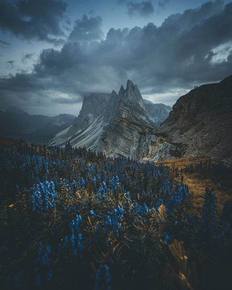 Seceda-2500m, Italy - Jordi Puig Nature Architecture, Nature Aesthetic, Nature Beautiful, Pretty Places, Nature Wallpaper, Nature Travel, Beautiful Photography, Amazing Nature, Nature Pictures