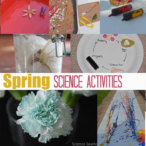 20 Spring Activities for Kids – Science – Science Sparks Spring Science Experiments, Spring Science Activities, Science Activities For Toddlers, Elementary Science Experiments, Science Experiments Kids Preschool, Science Experiments Kids Elementary, Science Art Projects, Spring Science, Toddler Science Experiments