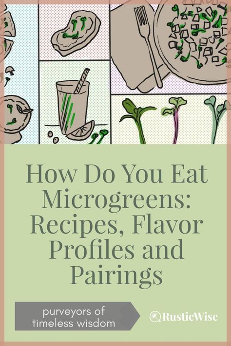 Smoothie With Microgreens, Sprouts And Microgreens, Uses For Microgreens, Recipes Using Microgreens, How To Use Microgreens In Food, What To Do With Microgreens, Microgreens Smoothie Recipe, Microgreens Business Plan, How To Use Microgreens