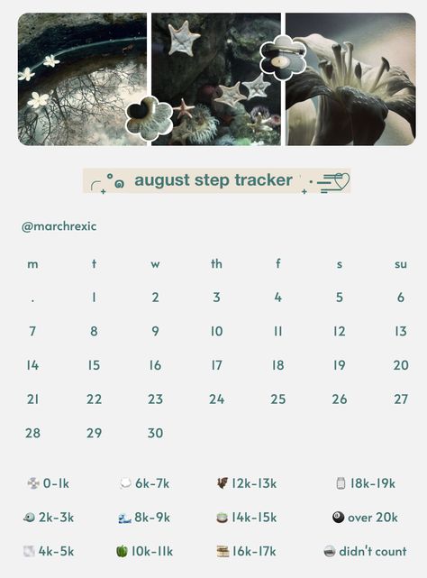 August Calorie Tracker, Calorie Tracker Aesthetic, Workout Aesthetic Pink, Cal Tracker, Step Tracker, Diet Tracker, Steps Tracker, Calorie Tracker, Weight Tracker