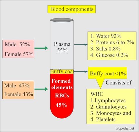 Blood sample Types Indications for the whole blood, plasma, and serum: A whole blood sample is used for blood gases and ammonia. It may be used for glucose, urea nitrogen, and lactate estimation. Serum and plasma are used for the majority of the chemical tests. The disadvantage of plasma is that there are chances to form fibrin clots if you store the sample. These microclots may block the probe of the analyzer. Plasma is not a good sample for electrophoresis. ... Medical Laboratory Science Student, Tissue Biology, Nursing School Life, Clinical Laboratory, Medical Life, Blood Components, Medical Decor, Clinical Chemistry, Blood Plasma