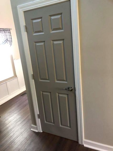 Door- sw passive gray Wall-sw agreeable gray Sw Passive Gray, Sw Passive, Passive Gray, Door And Trim Paint, Hallway Stairs And Landing, Interior Door Colors, Grey Interior Doors, Trim Paint, Door Paint