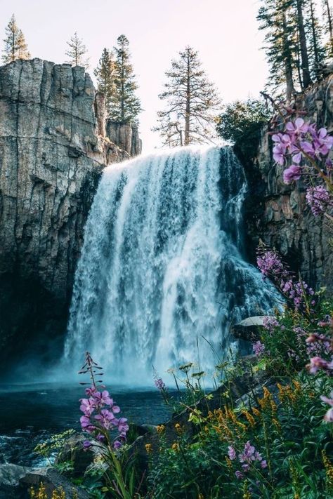 Waterfall Reference, Waterfall Diorama, Devils Postpile National Monument, Cat Adventure, Waterfall Pictures, Flowers Romantic, Waterfall Photo, Waterfall Paintings, Beauty Of Flowers