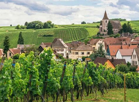 Something New Everyday, Burgundy France, Regions Of France, Romanesque Architecture, Learn Something New Everyday, Bon Weekend, Learn Something New, Loire Valley, French Countryside