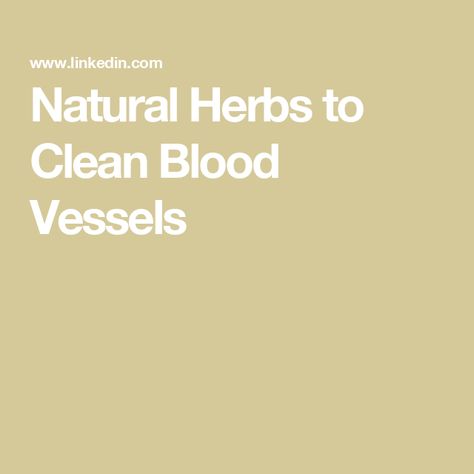 Natural Herbs to Clean Blood Vessels Blessed Thistle, Arteries And Veins, Allergy Remedies, Stinging Nettle, Functional Food, Allergy Symptoms, Milk Thistle, Food Science, Natural Herbs