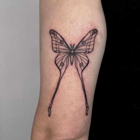 Comet Moth Tattoo Design, Comet Moth Tattoo, Peppered Moth Tattoo, Comet Moth, Detailed Moth Tattoo, Black And White Moth Tattoo, Edgy Moth Tattoo, Tattoo Apprentice, Insect Tattoo