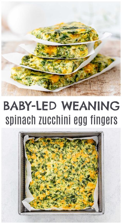 If you're struggling to find a good baby-led weaning meal idea, then I suggest to look no further than these delicious spinach zucchini egg fingers. Made with just simple ingredients, you can make these easily and also prep them ahead. These are also great for toddlers and even for adult snacking! Try the recipe here (these are freezer-friendly too). Click to continue. Blw Dairy Free Recipes, Simple Blw Meals, Blw Meal Prep Freezer, Blw Instant Pot, Meal Ideas For Breakfast, Freezer Friendly Blw Recipes, 8 Month Old Finger Food Ideas, Easy Baby Recipes Food Ideas, Egg Bites Baby Led Weaning