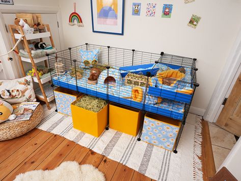 Guinea Pig Cage Ideas Diy Guinea Pig Hideout, Indoor Guinea Pig Cage Ideas, Aesthetic Guinea Pig Cage, Cute Guinea Pig Cage Ideas, Guinea Pigs Cage Ideas, Guinea Pig Treats, Indoor Guinea Pig Cage, Pig Treats, Guinea Pig Cage Ideas