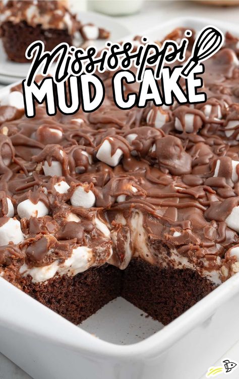 Mississippi Mud Cake - Spaceships and Laser Beams Mississippi Mud Bundt Cake, Mississippi Cake, Rocky Road Cake, Road Cake, Mississippi Mud Cake, Mud Cake Recipes, Homemade Chocolate Frosting, Spaceships And Laser Beams, Mississippi Mud