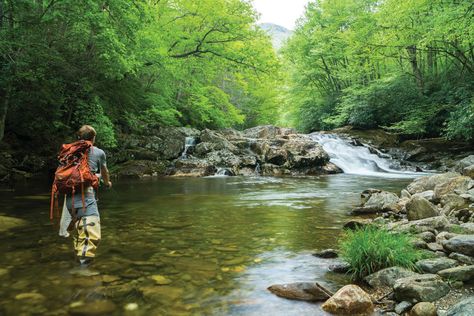 Best Fly Fishing Holes on the Blue Ridge Parkway Fly Casting, Fishing Ideas, Fishing 101, Fishing Hole, Conservation Of Natural Resources, Fishing For Beginners, Western Nc, Fly Fishing Tips, Fly Fisherman