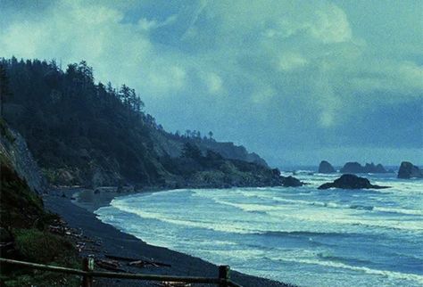 Twilight Scenery Aesthetic, Twilight Gifs Aesthetic, Twilight Saga Gif, Twilight Aesthetic Gif, Forks Washington Twilight, Twilight Gif, Adam Demos, Forks Twilight, Twilight Theme