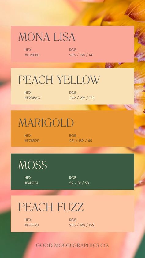 Peach Fuzz Color Palette 🍑 🎨 Good Color Matches, Vintage Pink And Green Color Palette, Mustard Yellow And Pink Color Palette, Yellow Pink Color Scheme, Peach And Mustard Color Palettes, Yellow And Pink Color Scheme, Honey Yellow Color Palette, Green Yellow And Pink Aesthetic, Yellow Colour Mood Board