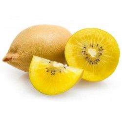 Best prices for Fruit Seeds (9) Grow Kiwi From Seed, How To Grow Kiwi, Fuyu Persimmon Tree, Kiwi Growing, Golden Kiwi, Wandering Jew Plant, Kiwi Seeds, Bonsai Seeds, Tillandsia Air Plant