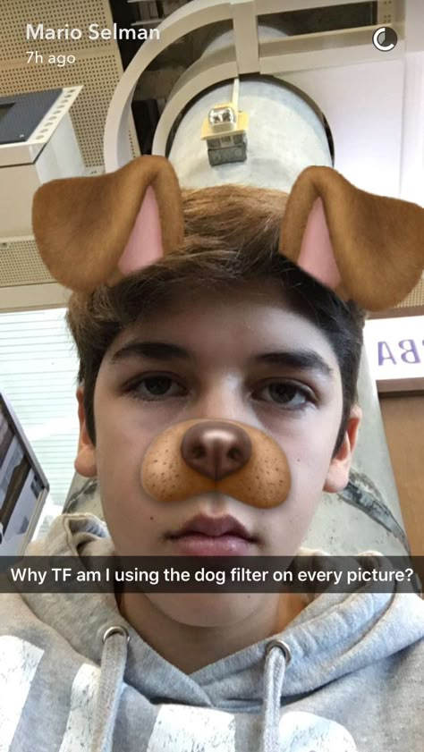 Hahaja the caption THOE Funny Snapchat Filters, Snapchat Dog Filter, Funny Snapchat Stories, Snap Selfie, Snapchat Selfies, Funny Snapchat Pictures, Snap Photography, Cute Captions, Funny Snaps