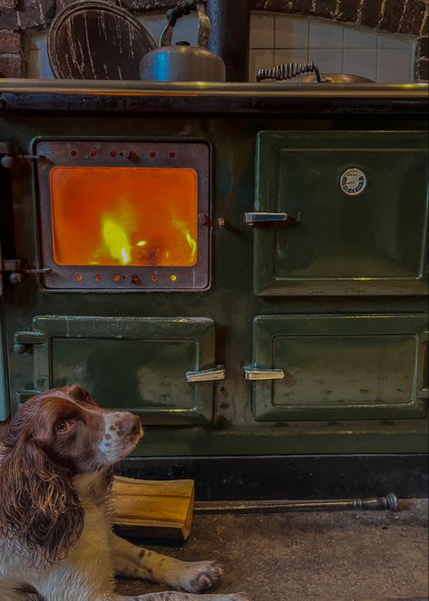 This is a picture of a brown and white springer spaniel puppy sitting in front of a large green aga which is lit and glowing orange Country Cooking Aesthetic, Rural Cottage Aesthetic, Folk Country Aesthetic, Kit Kittredge Aesthetic, Farming Aesthetic Country Living, Rural Life Aesthetic, Small Homestead Aesthetic, Off Grid Aesthetic, Countryside Life Aesthetic