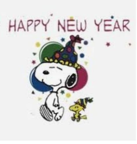 Snoopy Happy New Year, New Year's Eve Wallpaper, Snoopy New Year, Charlie Brown Cartoon, Birthday Fireworks, Happy New Year Fireworks, Woodstock Snoopy, Peanuts Charlie Brown Snoopy, Happy New Year Gif