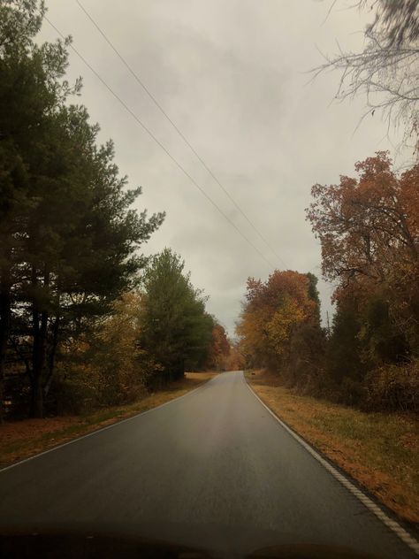 Cloudy Day Aesthetic Cozy, Feast Aesthetic, Cloudy Fall Day, Cloudy Aesthetic, Cloudy Skies, Cloudy Weather, Changing Leaves, Family Feast, Trees Nature