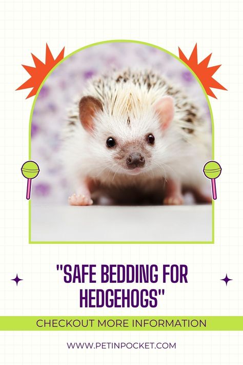 Not all bedding is safe for hedgehogs! 🦔 Ensure your quill-covered friend stays comfy and secure with our guide on the best substrates. #HedgehogBedding #PetHedgehogs #AnimalSafety #HedgehogCare #SafeSubstrates Hedgehog Care, Hedgehog Bedding, Hedgehog Pet, A Hedgehog, Sharp Teeth, Pet Safety, Hedgehogs, Animals Wild, Defense