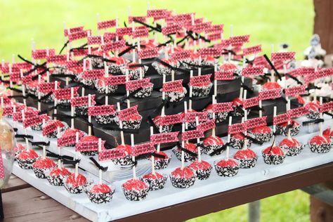 Graduation Cake Pops Ideas, Cake Pops Ideas, Graduation Cake Pops, Graduation Treats, Nursing Cake, Graduation Party Planning, Wood Craft Projects, 30th Bday, Graduation Cake