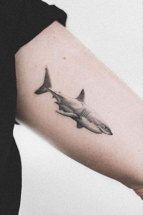 Small Shark Tattoo, Shark Tattoo Ideas, Hai Tattoo, Underwater Tattoo, Beginner Tattoos, Realistic Tattoo Sleeve, Shark Tattoo, Ocean Tattoos, Theme Tattoo