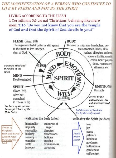 Walking In The Spirit, Walk In The Spirit, Bible Study Topics, Bible Study Help, Bible Study Methods, Biblical Teaching, Study Notebook, Bible Study Notebook, Bible Study Lessons