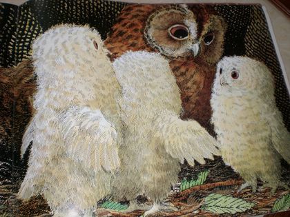 Patrick Benson, Owl Babies (written by Martin Waddell) Incredible Paintings, Owl Babies, Children's Book Characters, Whimsical Owl, Owl Collection, Nocturnal Animals, Show Me The Way, Childrens Books Illustrations, Owl Bird