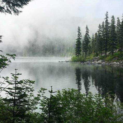 Quiet Photography, Mountain Lake Painting, Foggy Lake, Pathfinder Game, Enchanted Lake, Dark Forest Aesthetic, Lake Washington, Foggy Mountains, Wood Core