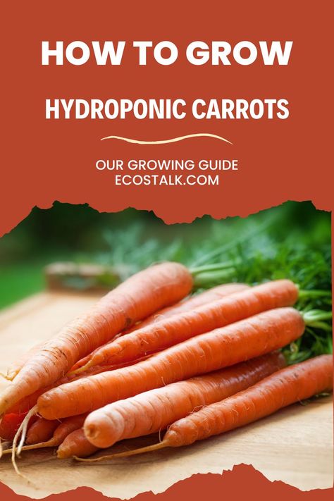 how to grow hydroponic carrots a complete growing guide Hydroponic Carrots, Hydroponic Potatoes, Mason Jar Hydroponics, Best Vegetables To Grow Hydroponic, Kratky Method Hydroponics, Hydroponic Gardening Diy, Hydroponic Grow Box, Indoor Hydroponic Gardening, Hydroponic Nutrient Recipe