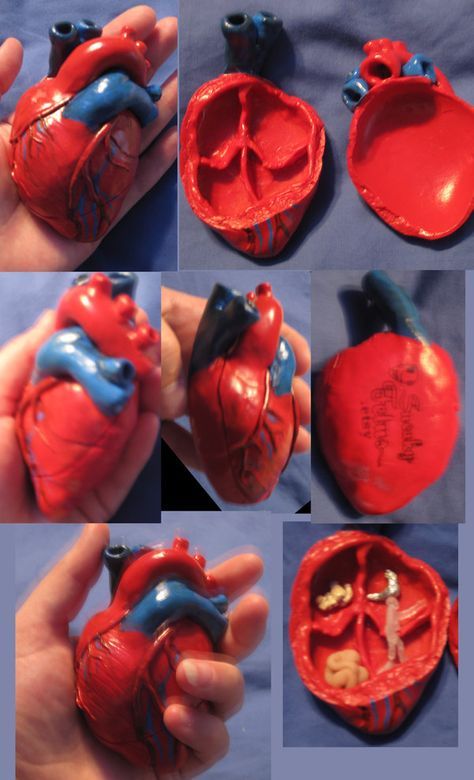 Anatomically Correct Heart, Anatomical Heart Art, High School Ceramics, Heart Pottery, Pottery Heart, Heart Sculpture, Aesthetic Objects, Clay Heart, How To Make Clay