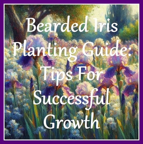 Bearded Iris Planting Guide: Tips for Successful Growth Bearded Iris Garden, Iris Bulbs, Iris Rhizomes, Planting Guide, Fragrant Plant, Iris Garden, Garden Bulbs, Food Forest, Bearded Iris