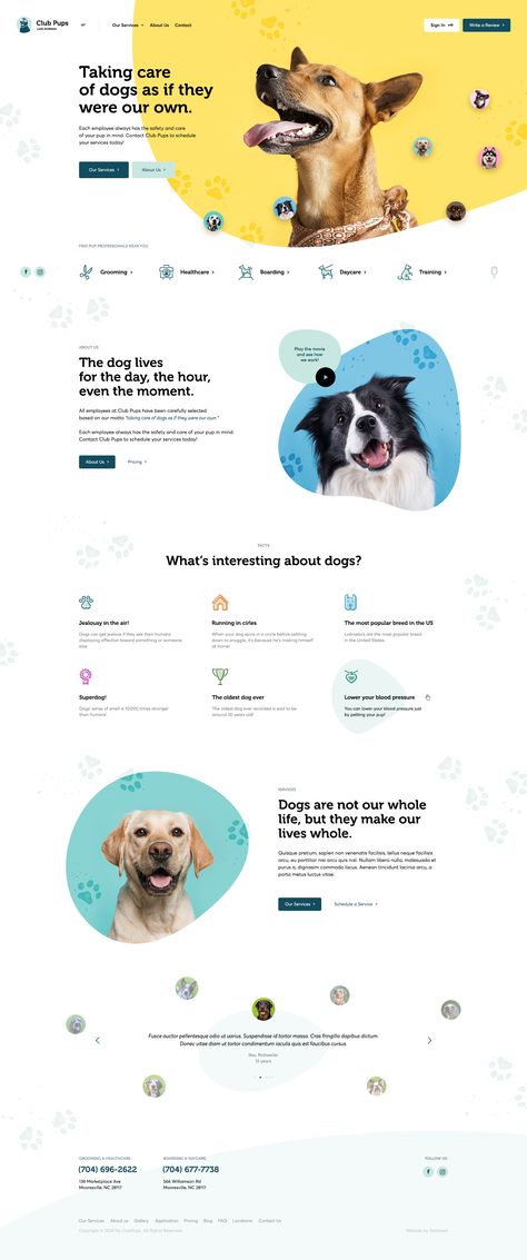 Pet Websites, Pet Branding, Webpage Design, Website Design Layout, Ui Design Inspiration, Web Layout Design, Web Inspiration, Web Layout, Web Designs