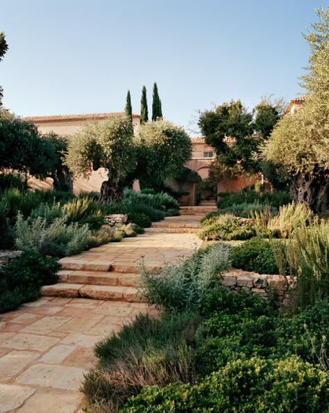 Mediterranean Landscape Design, Mediterranean Gardens, Boxwood Garden, Mediterranean Landscape, Tuscan Garden, California Garden, Mediterranean Landscaping, Agave Plant, Italian Garden