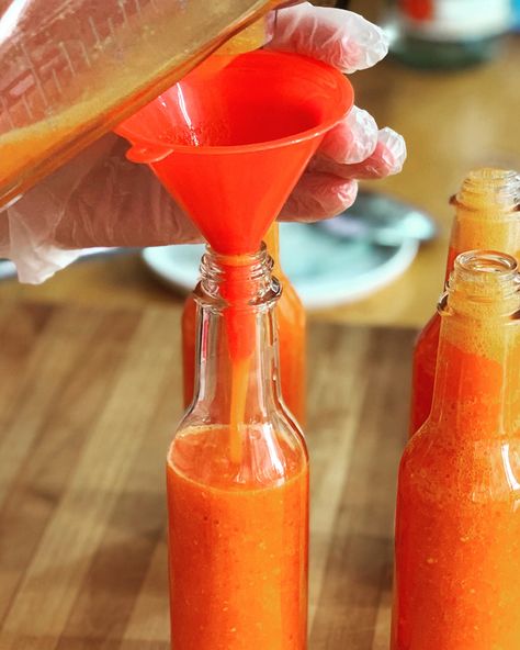 Recipe: Fermented Peach Hot Sauce — FarmSteady Peach Hot Sauce, Homemade Hot Sauce Recipe, Fermentation Station, Fresno Peppers, Hot Sauce Recipe, Homemade Hot Sauce, Habanero Sauce, Habanero Hot Sauce, Hot Sauce Recipes