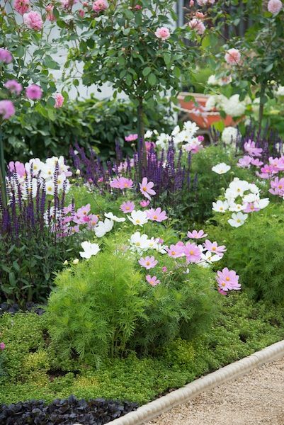 Organic Vegetable Garden, Cottage Garden Design, Landscape Concept, Have Inspiration, Garden Cottage, Cottage Gardens, Plant Combinations, Garden Borders, Flower Gardens