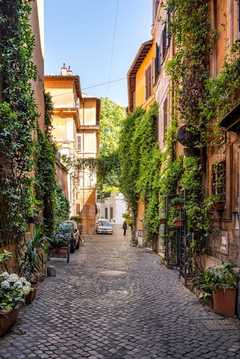 One of the most beautiful things in Rome is the vegetation that is an integral part of the city of Rome.  Many streets and buildings are covered with it.  Beautifully. Check out my blog post for more details. #rome #italy #italie #travel #photography #aesthetic #architecture #StayINspired Rome In May, Rome Train Station, Rome Italy Aesthetic, Rome Streets, Things To Do In Rome, Aesthetic Italy, Street Aesthetic, Italy Street, Piazza Del Popolo