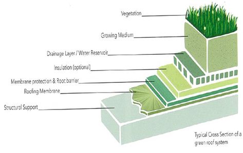 Rooftop Greenery Roof Drawing, Pizzeria Design, Conceptual Model Architecture, Green Roof System, Timber Buildings, Building Roof, Water Reservoir, Green Architecture, Eco Design