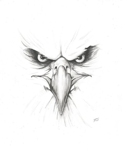 Angry Bird Sketch, Angry Bird Tattoo, Eagle Drawing Pencil, Angry Eagle, Eagle Head Tattoo, Bird Pencil Drawing, Rabe Tattoo, Owl Tattoo Drawings, Pencil Tattoo