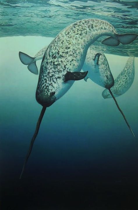 Endangered Sea Animals, Ocean Creatures Art, Deep Sea Creatures, Underwater Animals, Beautiful Sea Creatures, Aquatic Animals, Marine Mammals, Flowers Bloom, Foto Art